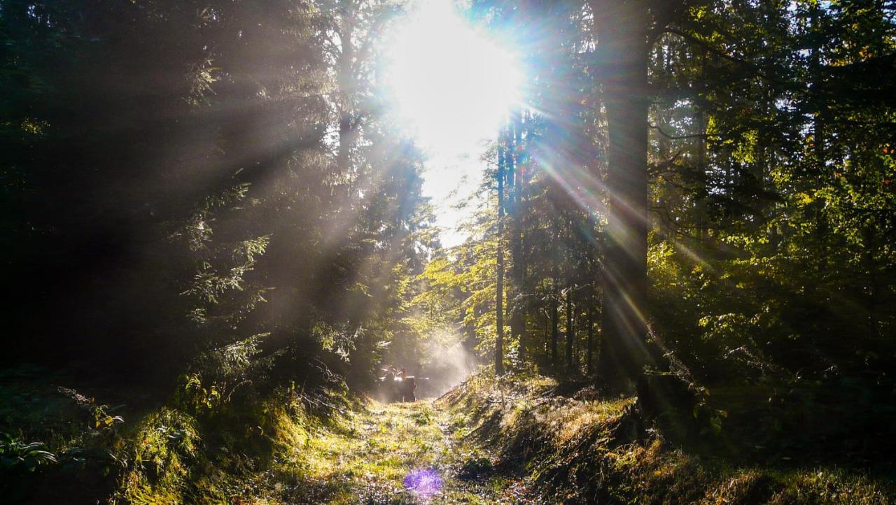 Familien-Hotel Am Traenkbachtal Frauenwald Bagian luar foto