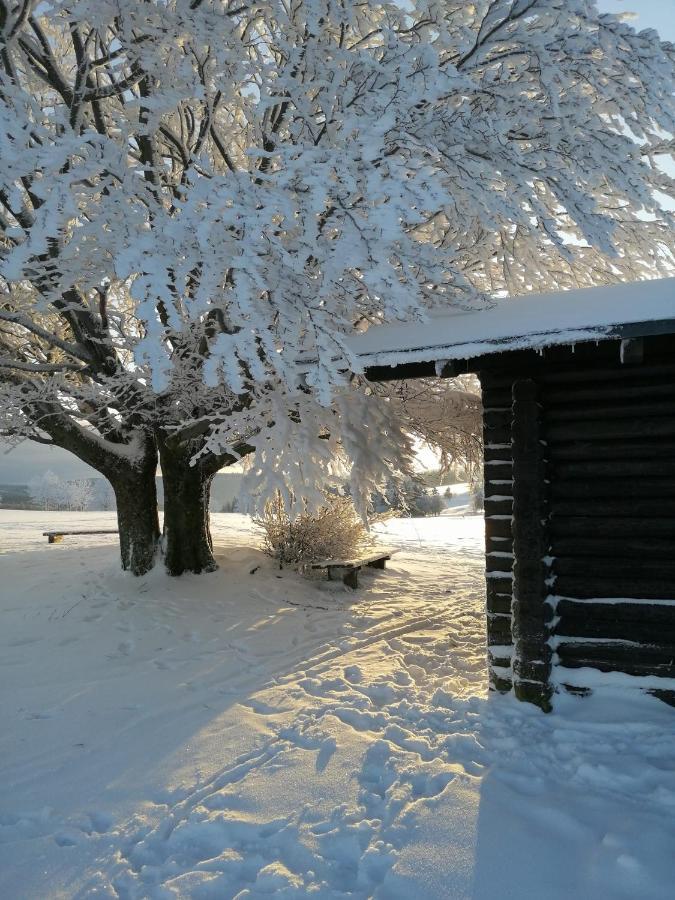 Familien-Hotel Am Traenkbachtal Frauenwald Bagian luar foto