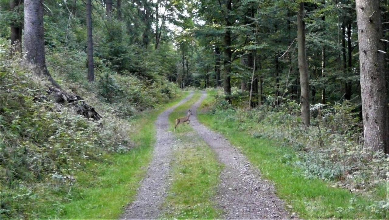 Familien-Hotel Am Traenkbachtal Frauenwald Bagian luar foto
