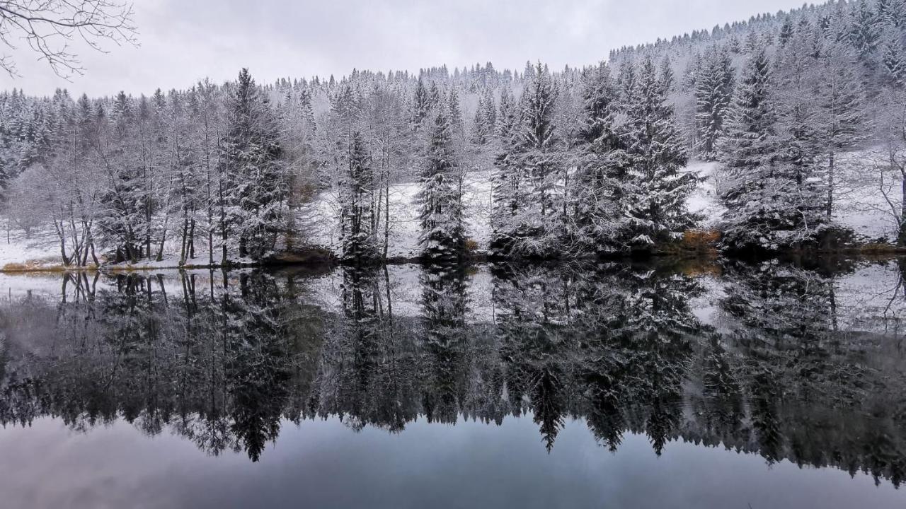 Familien-Hotel Am Traenkbachtal Frauenwald Bagian luar foto