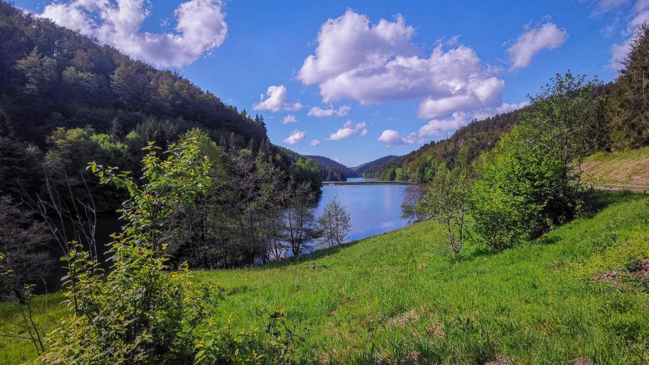 Familien-Hotel Am Traenkbachtal Frauenwald Bagian luar foto