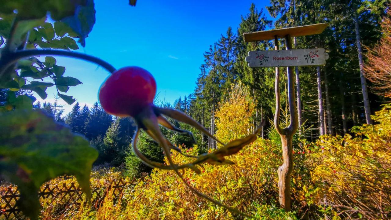 Familien-Hotel Am Traenkbachtal Frauenwald Bagian luar foto